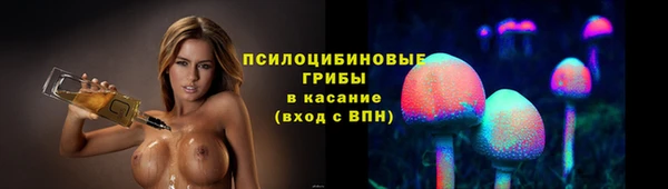 ПСИЛОЦИБИНОВЫЕ ГРИБЫ Билибино