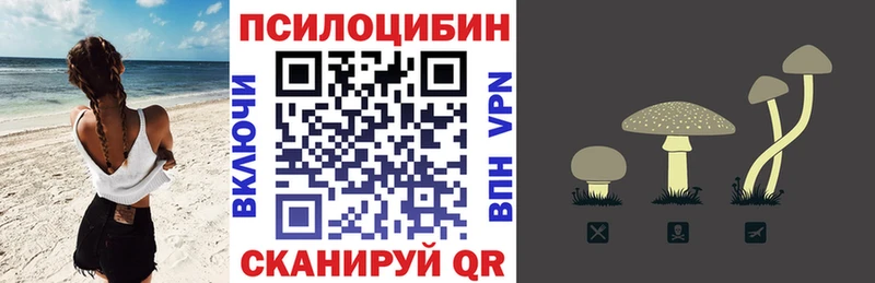 где найти наркотики  Алупка  Псилоцибиновые грибы Cubensis 
